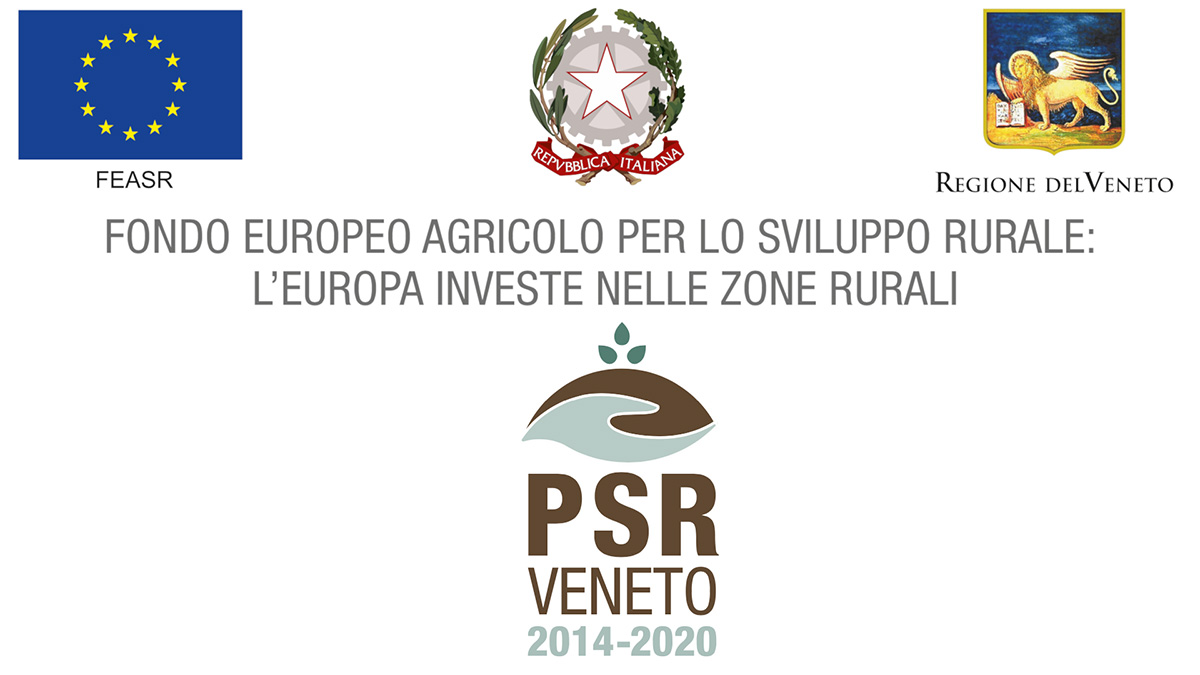 Fondo europeo agricolo per lo sviluppo rurale: l'Europa investe nelle zone rurali